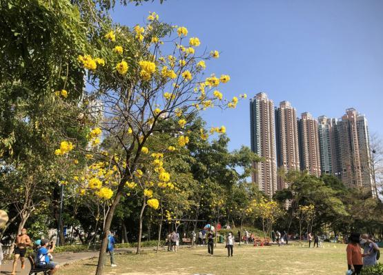 周邊綠意生活